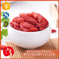 Heißer Verkauf gute Qualitätschinese Wolfberry / Mispel goji